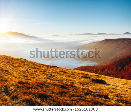 Majestic view of the mountains covered with thick fog. Location place of Carpathian mountains, Ukraine, Europe. Drone photography. Fresh seasonal background. Discover the beauty of earth.