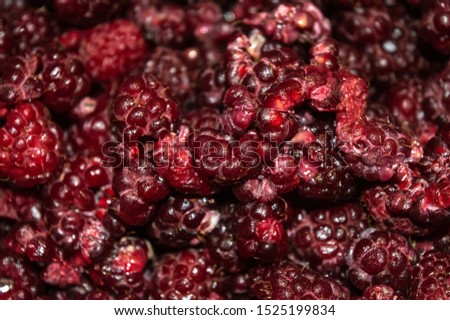 Delicious raspberries. Close up photo.