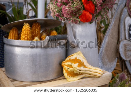 Autumn still life with dried corncobs in a metal pot and ornamental gourd in front of an old watering can filled with colorful flowers conceptual of the seasons
