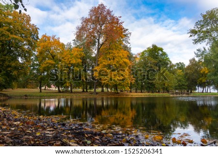 Reflection of colorful autumn trees in a tranquil lake on a sunny fall day in a scenic landscape in a concept of the seasons