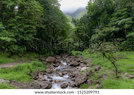 Saint-Joseph, Martinique, FWI - Alma River (Long Exposure)