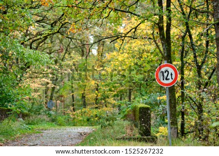 An old bridgewith a sign informing about a weight limitation of 12 t in an idyllic autumn forest in Bavaria, Germany in October