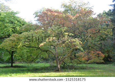 Autumn Colors in Gloucestershire, England, United Kingdom, Europe