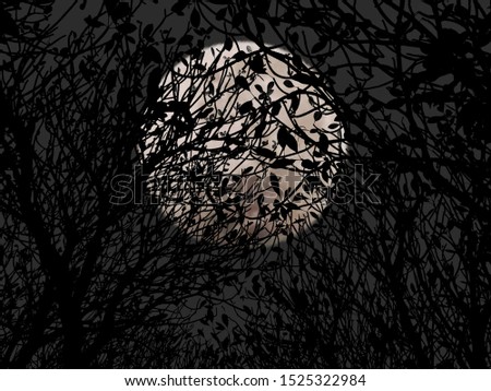 Shape of branch tree silhouette on full moon night background.Concept Halloween night.