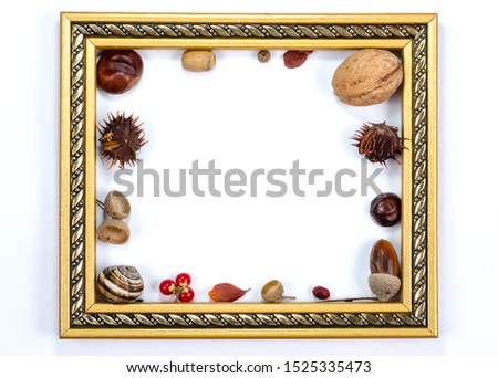 Autumn composition  indoor  on white background  . Empty golden frame  having inside  chestnuts, acorns, rust leaves, nuts rowan berries 
Top view , copy space , flat lay .