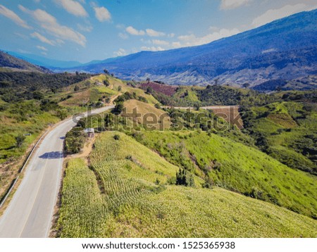 Top view of the road on the mountain with green jungle