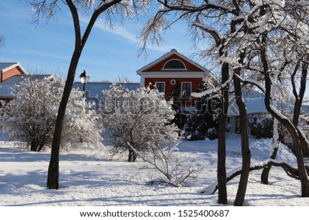 A lonely house in the middle of a snowy forest. Beautiful trees covered in white snow. Winter park. Snow covers the forest. A lot of fluffy snow. Background for new year card.