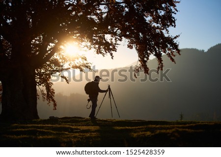 Profile of male traveler tourist with camera tripod lit by bright setting sun hiking on grassy valley, on background of beautiful mountain panorama at dusk under big tree with golden leaves.