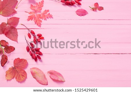autumn leaves on pink wooden background