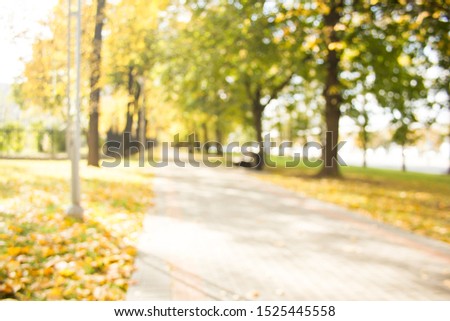 Blurred background of autumn park. Trees, yellow fallen leaves on the green grass and alley with bokeh effect. Golden autumn concept.
