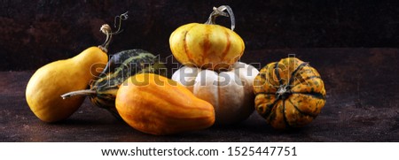 Diverse assortment of pumpkins on a rustic background. Autumn harvest.