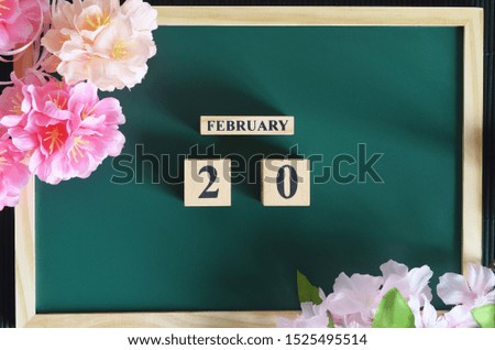 Japanese Cover, Number cube with sakura flower on the wood green board, February 20.
