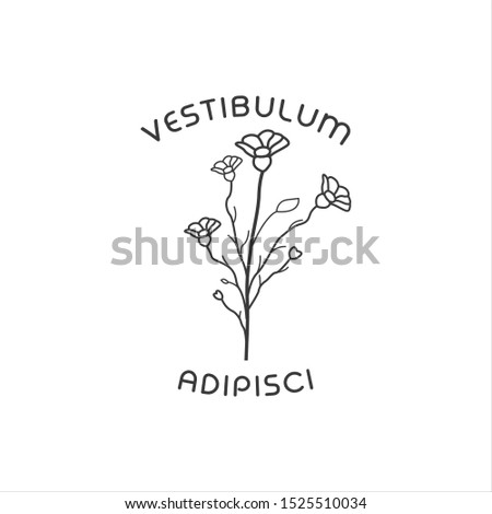 hand drawn botanical logo icon in vector