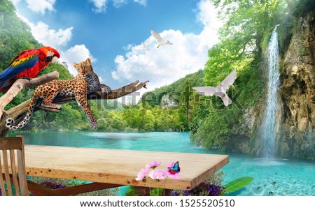Wallpaper Nature Work Space Sky Forest Waterfall background