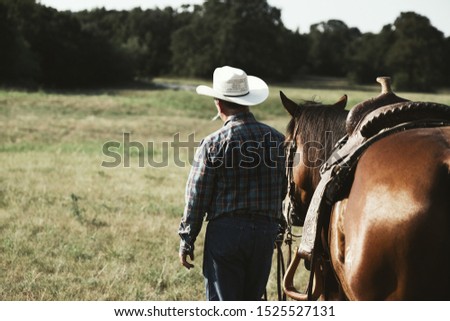 Horse in saddle walking away with cowboy, western lifestyle with copy space.