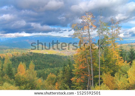 Photo taken in Ukraine. The picture shows the Carpathians mountains covered with autumn forest.