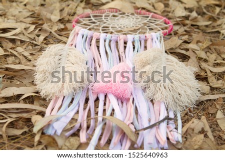 dream catcher on dry leaf field. Tassel and thread feathers.
Selective focus