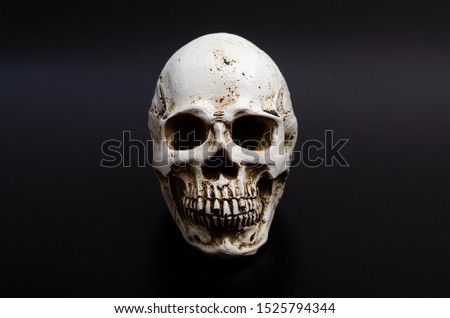 Human skull on  black background