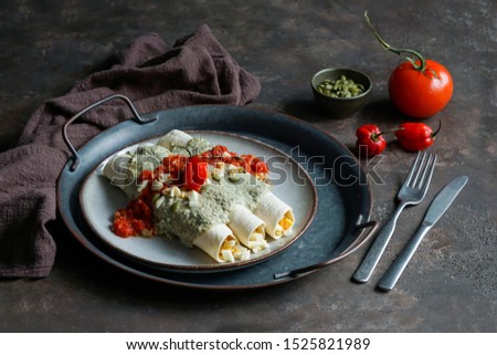 Mexican food - Papadzules traditional dish from the Yucatán Peninsula -  corn tortillas dipped in a sauce of pumpkin seeds filled with boiled eggs, garnished with a cooked tomato-pepper sauce