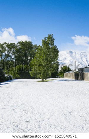 Snow in Arrowtown, New Zealand.