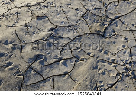 Clay desert surface with cracks isolated. Seamless background.