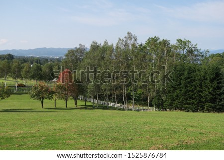 A sunny day view of a park on a hill in Hokkaido, Japan
