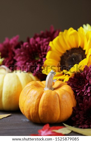 Autumn background with pumpkins and beautiful colorful flowers.