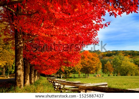 Fall Foliage in New England  Royalty-Free Stock Photo #1525887437