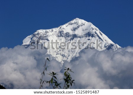 Mt.Dhaulagiri (8,167m) altitude, this wonderful illustration did seen from Khopra Ridge of Maygdi District of Western NEPAL  Royalty-Free Stock Photo #1525891487