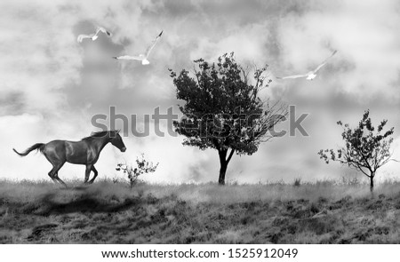 Abstract Running Horse and Trees in the Field Photo Manipulation
