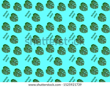 Monstera leaf seamless pattern. Tropical leaves on a blue background