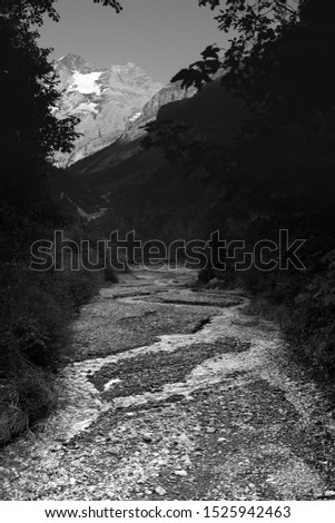 stream from the mountain , black and white landscape