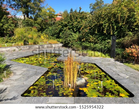Botanical Garden St. Gallen or Der Botanische Garten St. Gallen (The Botanical Garden in Sankt Gallen), Switzerland