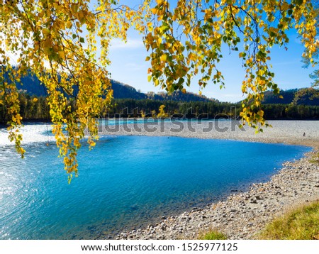 The pond with blue water  and autumn trees in foreground