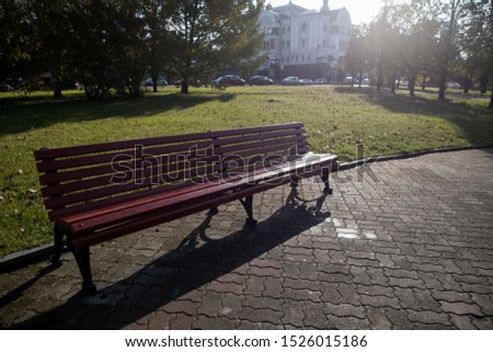 Park Bench in the Morning Light