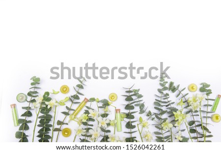 
Green spa setting or wellness background with space for text
