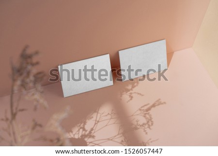 Two business card mockup near the wall pastel color with dried flowers