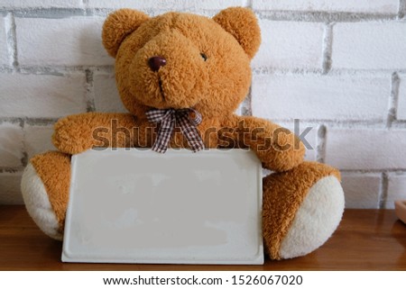  teddy bear holds white frame on white  brick wall texture background.free space for text.