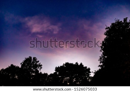 Colour photograph of purple night sky with a tree top silhouette at bottom, taken in Delph woods, Poole, England.