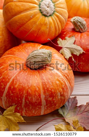 Ripe round yellow and orange pumpkins and dry maple leaves on wooden surface. Green living, studio shot.