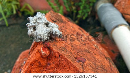 a little rock on a brick, macro photo