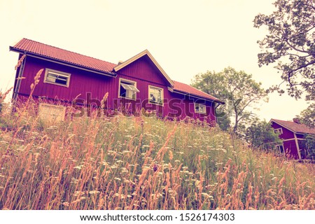 Traditional wooden red house with grass field in front over whte sky background in Sweden