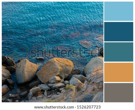 Sea colour palette. Blue and beige color swatch.