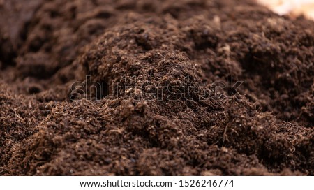 Clean soil for cultivation. The potting soil or peat is suitable for gardening and is one of the four natural elements. The land is life for our planet earth. Selective Focus. Royalty-Free Stock Photo #1526246774