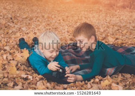 Two little brothers look at pictures on the camera. Lying in yellow autumn leaves. Fall day