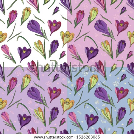 vector seamless pattern of painted colored crocuses and leaves without background