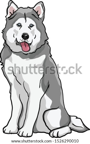 Husky dog with vinyl style drawing