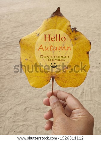 Hand holding an autumn leaf sign - Hello Autumn. Do not forget to smile. On white sands background with smiling face emoticon.