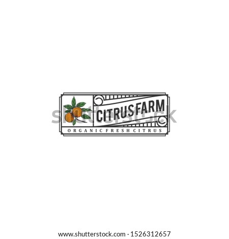 The citrus logo, with a vintage style design and fresh citrus elements, to label your citrus products