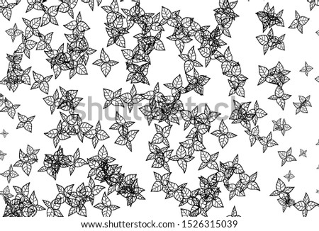 Black and White vector elegant background with leaves. Colorful illustration in doodle style with leaves. Pattern for wallpapers, coloring books.